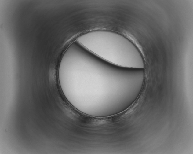 X0000111680249200907171510