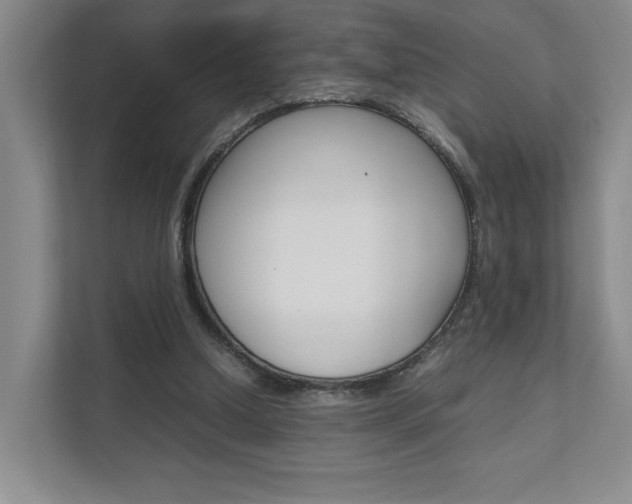 X0000111680250200907171510