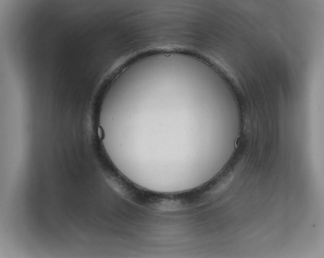 X0000111680256200907171510