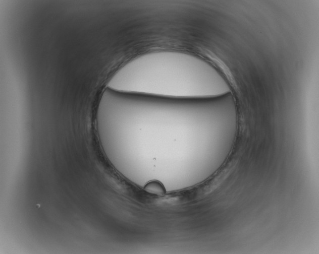 X0000111680257200907171510