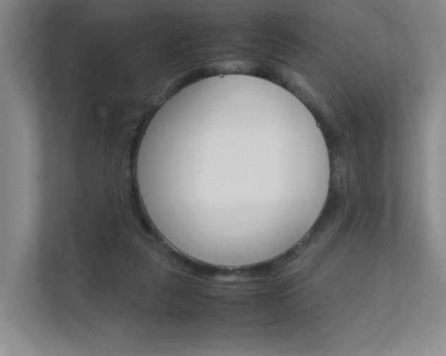X0000111680259200907171510