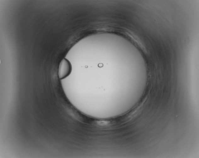 X0000111680265200907171510
