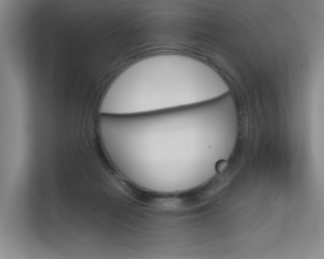 X0000111680266200907171510