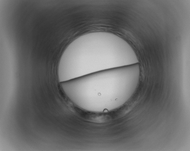 X0000111680267200907171510