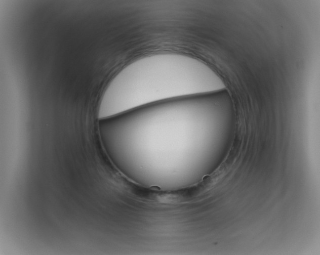 X0000111680268200907171510
