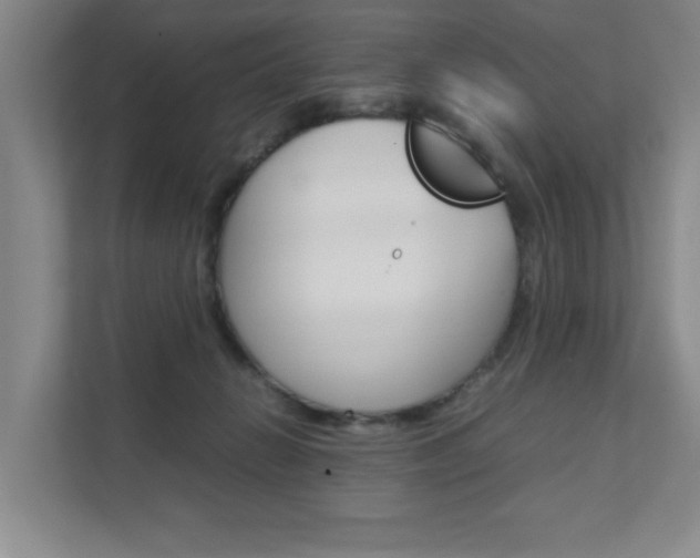 X0000111680270200907171510