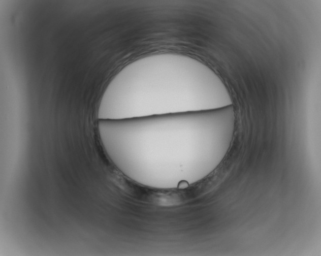 X0000111680275200907171510