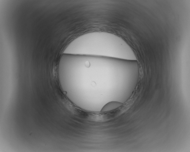 X0000111680276200907171510