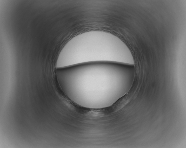 X0000111680280200907171510
