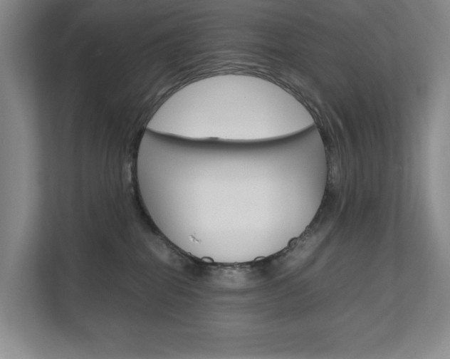 X0000111680282200907171510