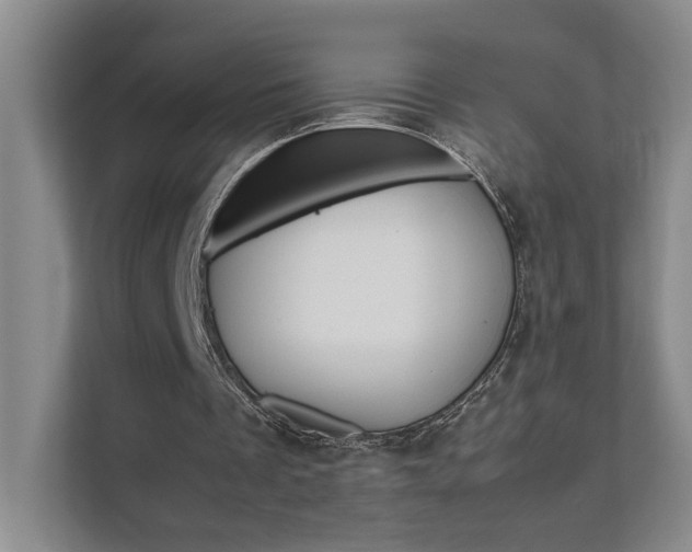 X0000111680289200907171510