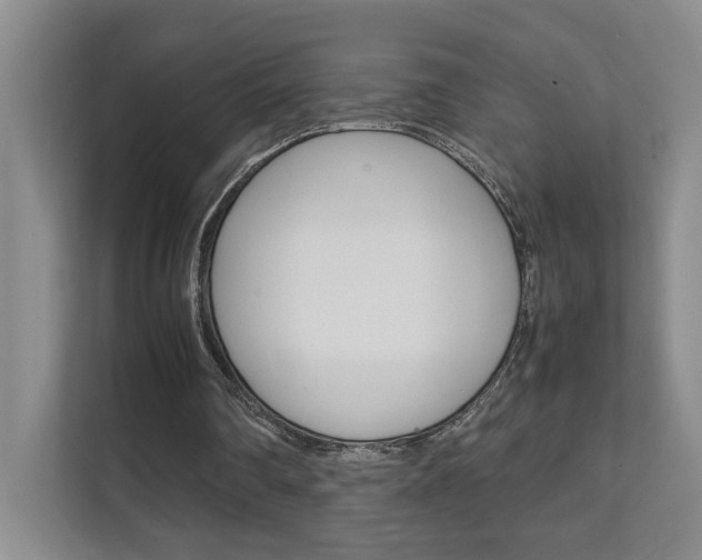 X0000111680290200907171510
