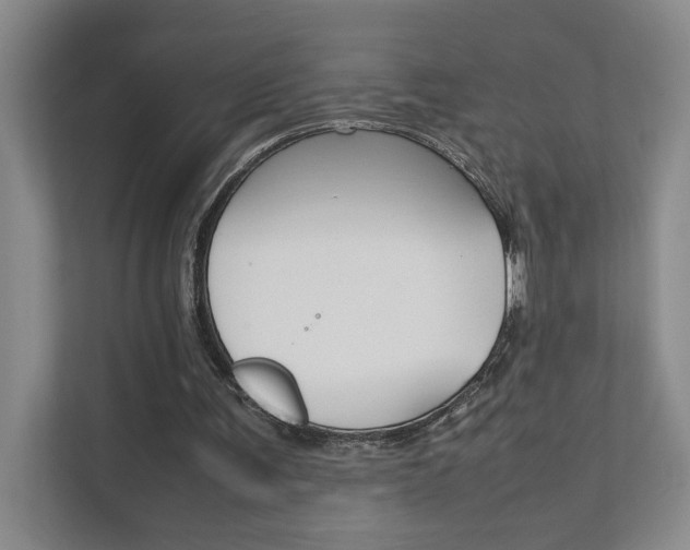 X0000111680291200907171510