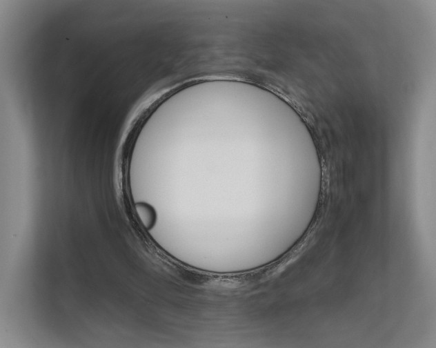 X0000111680294200907171510