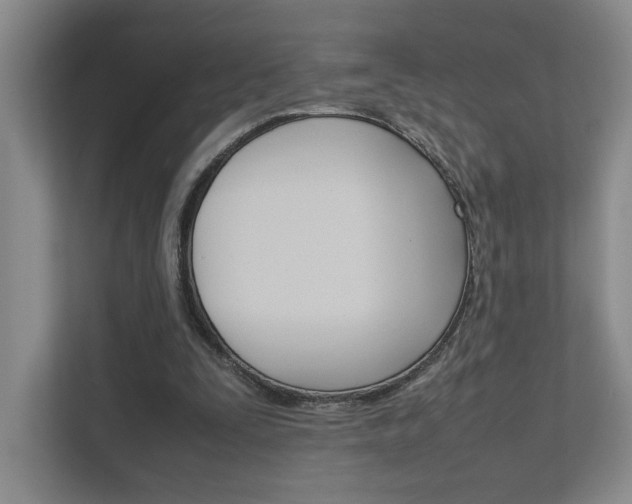 X0000111680295200907171510