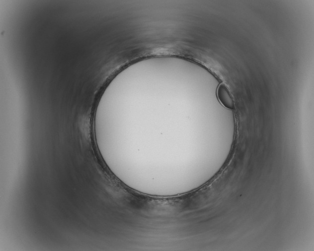X0000111680297200907171510