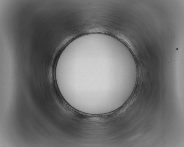 X0000111680298200907171510