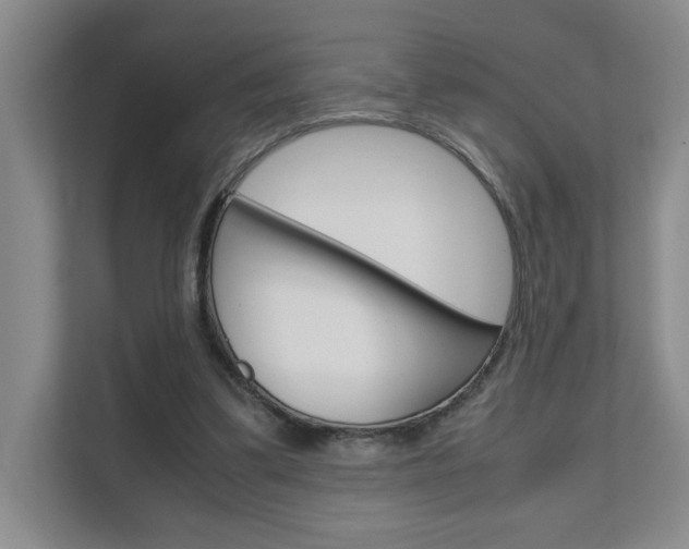 X0000111680299200907171510