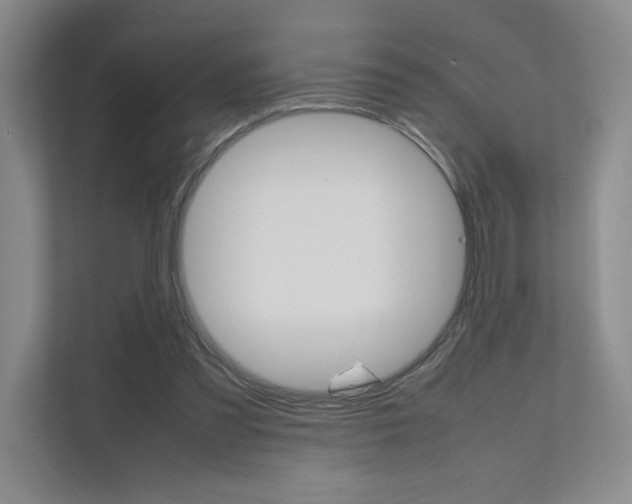 X0000111680301200907171510
