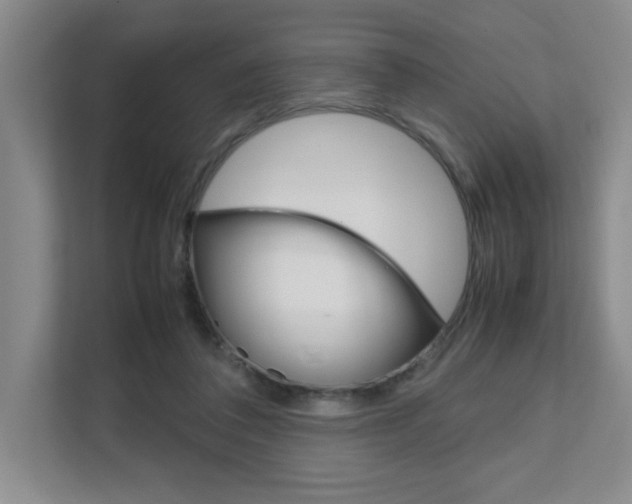 X0000111680308200907171510