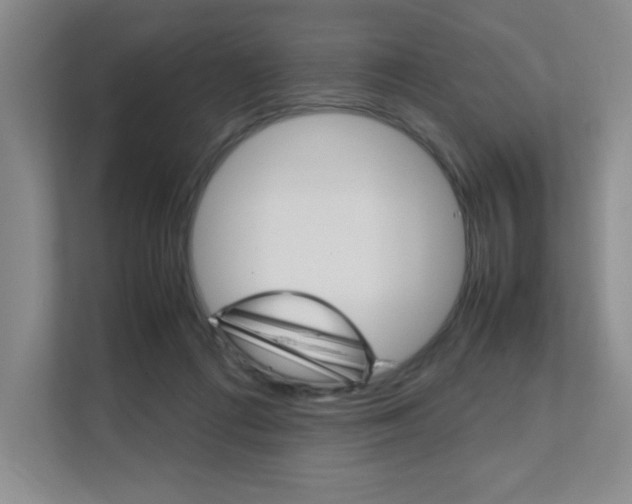 X0000111680312200907171510