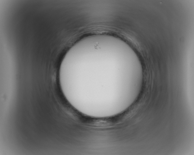 X0000111680315200907171510