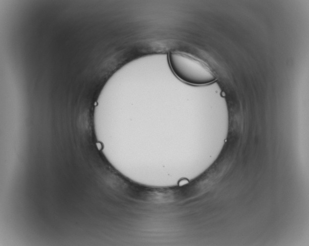 X0000111680317200907171510