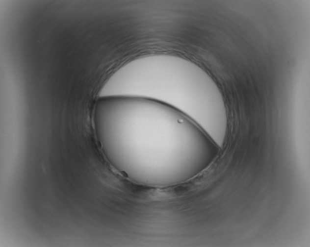 X0000111680320200907171509