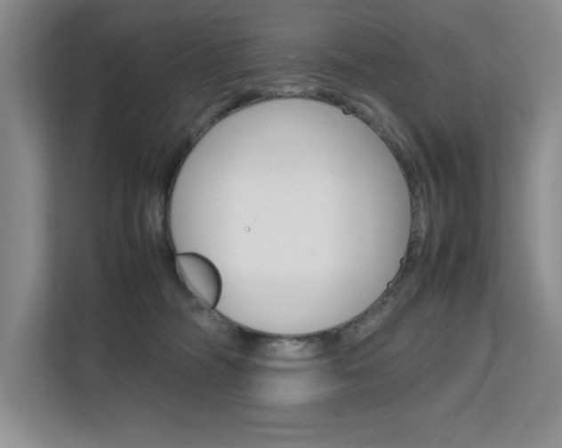 X0000111680326200907171509