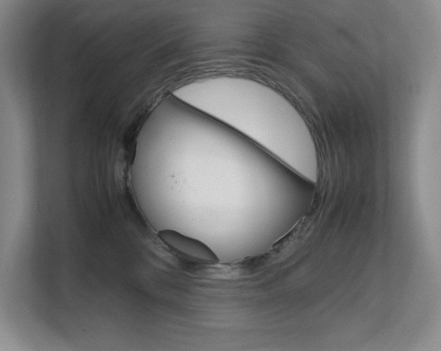 X0000111680328200907171509