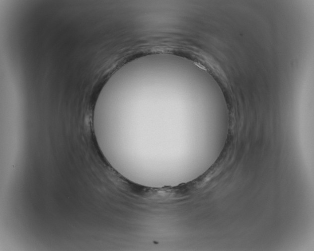 X0000111680329200907171509