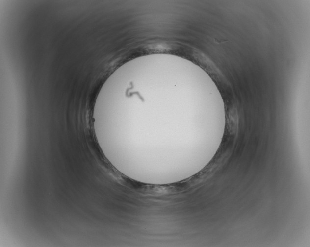 X0000111680330200907171509