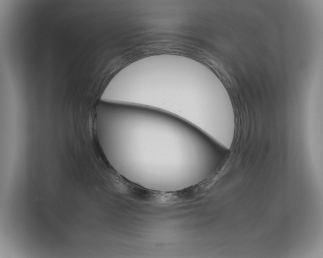 X0000111680333200907171509