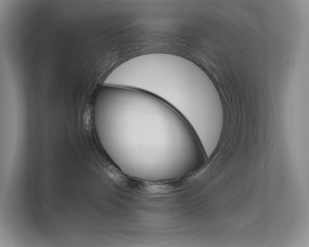 X0000111680336200907171509