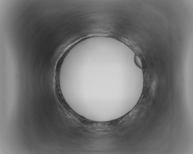 X0000111680338200907171509