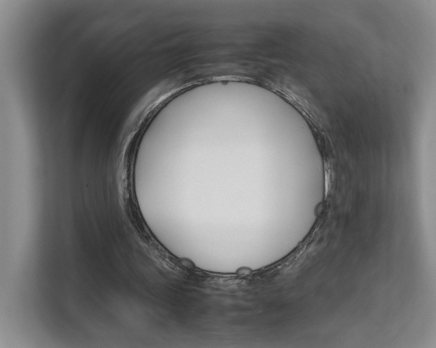 X0000111680339200907171509