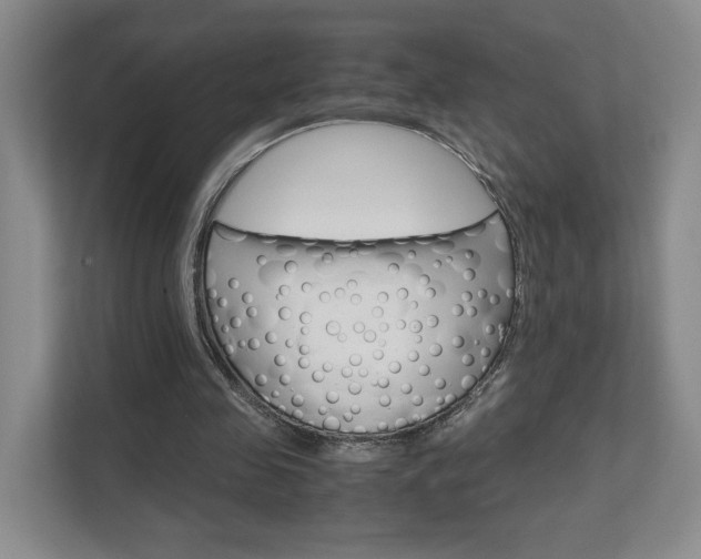 X0000111680341200907171509