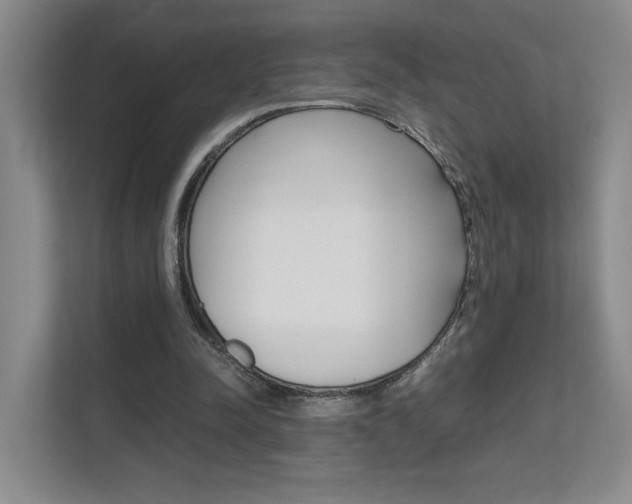X0000111680342200907171509