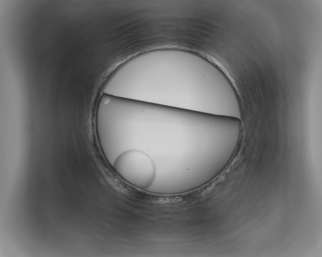 X0000111680345200907171509