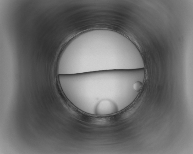 X0000111680349200907171509