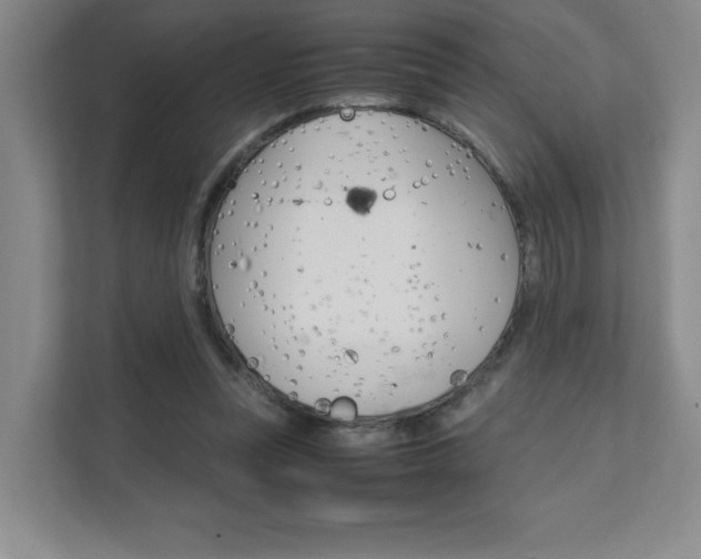 X0000111680351200907171509