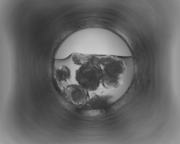 X0000111680353200907171509