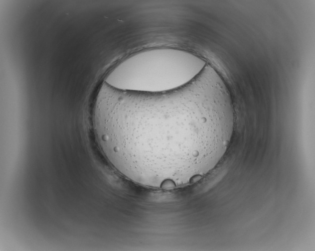 X0000111680354200907171509