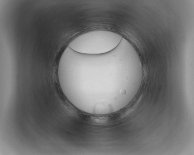 X0000111680359200907171509