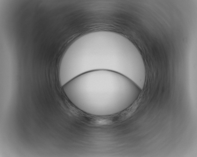 X0000111680360200907171509
