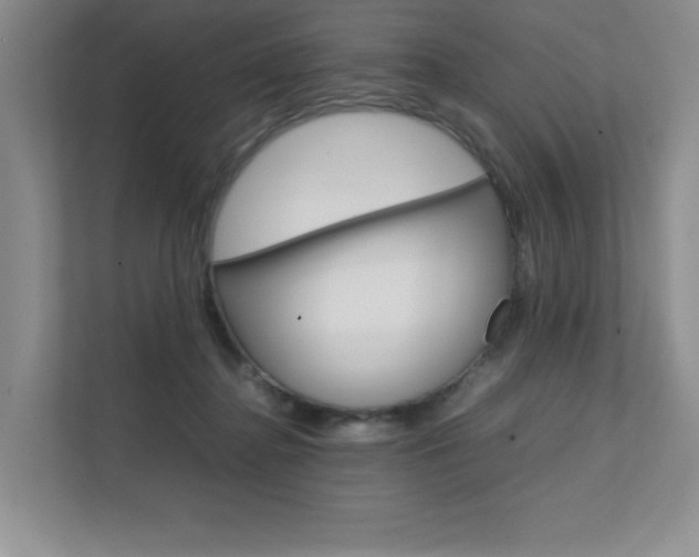 X0000111680364200907171509