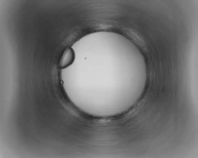 X0000111680366200907171509
