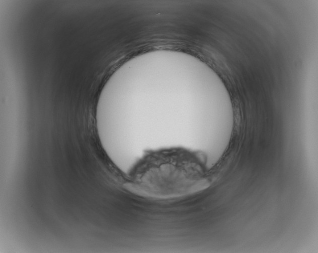 X0000111680367200907171509