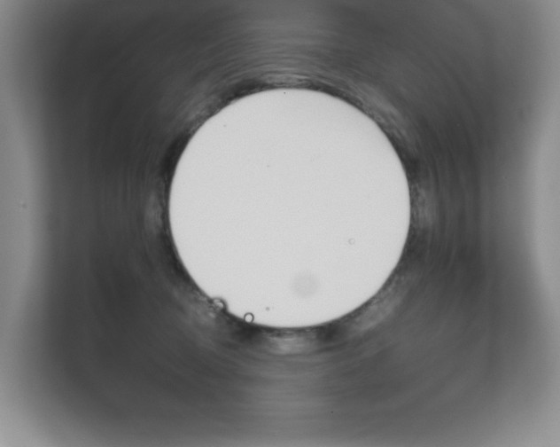 X0000111680370200907171509