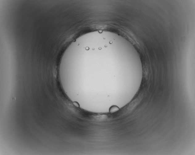 X0000111680374200907171509